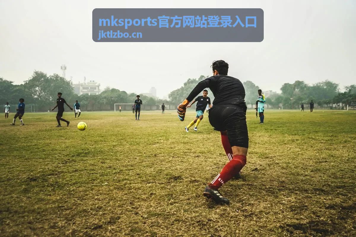 mksports官方网站登录入口步骤对照说明配图